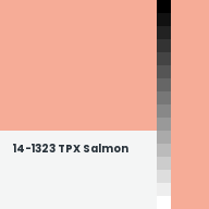 Color chip: 14-1323 TPX Salmon