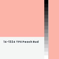 Color chip: 14-1324 TPX Peach Bud