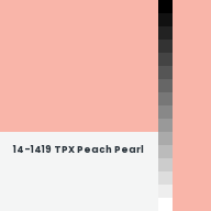 Color chip: 14-1419 TPX Peach Pearl
