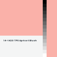 Color chip: 14-1420 TPX Apricot Blush