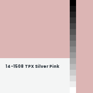 Color chip: 14-1508 TPX Silver Pink