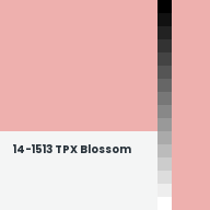 Color chip: 14-1513 TPX Blossom