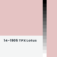 Color chip: 14-1905 TPX Lotus