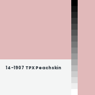 Color chip: 14-1907 TPX Peachskin