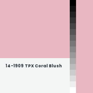 Color chip: 14-1909 TPX Coral Blush
