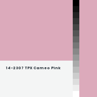 Color chip: 14-2307 TPX Cameo Pink