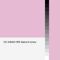 Color chip: 14-2808 TPX Sweet Lilac