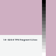 Color chip: 14-3204 TPX Fragrant Lilac