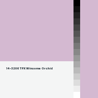 Color chip: 14-3206 TPX Winsome Orchid