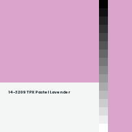 Color chip: 14-3209 TPX Pastel Lavender