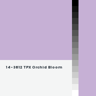 Color chip: 14-3612 TPX Orchid Bloom