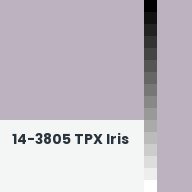 Color chip: 14-3805 TPX Iris