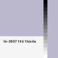 Color chip: 14-3907 TPX Thistle