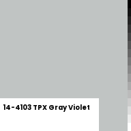 Color chip: 14-4103 TPX Gray Violet