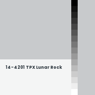 Color chip: 14-4201 TPX Lunar Rock