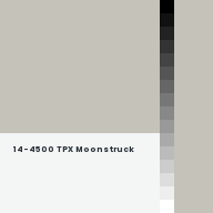 Color chip: 14-4500 TPX Moonstruck