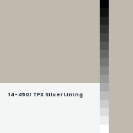 Color chip: 14-4501 TPX Silver Lining