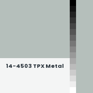 Color chip: 14-4503 TPX Metal