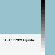 Color chip: 14-4510 TPX Aquatic