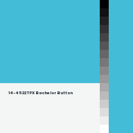 Color chip: 14-4522 TPX Bachelor Button