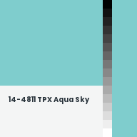 Color chip: 14-4811 TPX Aqua Sky
