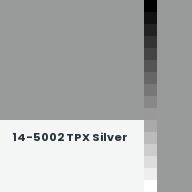 Color chip: 14-5002 TPX Silver