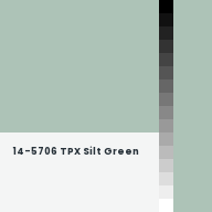 Color chip: 14-5706 TPX Silt Green