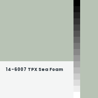 Color chip: 14-6007 TPX Sea Foam