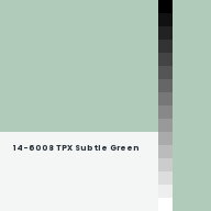 Color chip: 14-6008 TPX Subtle Green