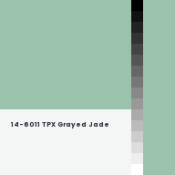 Color chip: 14-6011 TPX Grayed Jade
