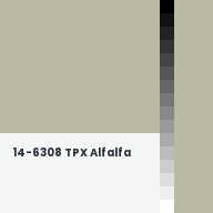 Color chip: 14-6308 TPX Alfalfa