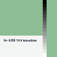 Color chip: 14-6319 TPX Meadow