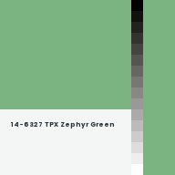 Color chip: 14-6327 TPX Zephyr Green
