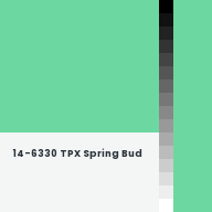 Color chip: 14-6330 TPX Spring Bud