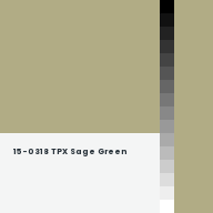 Color chip: 15-0318 TPX Sage Green