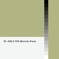 Color chip: 15-0523 TPX Winter Pear