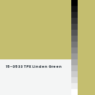 Color chip: 15-0533 TPX Linden Green