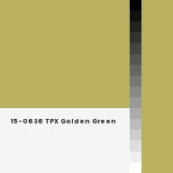 Color chip: 15-0636 TPX Golden Green