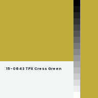 Color chip: 15-0643 TPX Cress Green