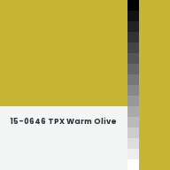 Color chip: 15-0646 TPX Warm Olive