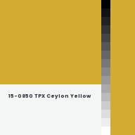 Color chip: 15-0850 TPX Ceylon Yellow