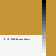 Color chip: 15-0948 TPX Chinese Yellow