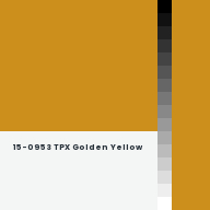 Color chip: 15-0953 TPX Golden Yellow