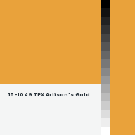 Color chip: 15-1049 TPX Artisan's Gold