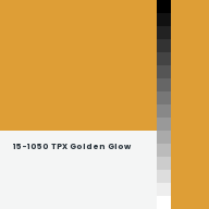 Color chip: 15-1050 TPX Golden Glow