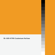 Color chip: 15-1054 TPX Cadmium Yellow