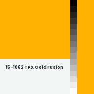 Color chip: 15-1062 TPX Gold Fusion
