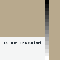 Color chip: 15-1116 TPX Safari