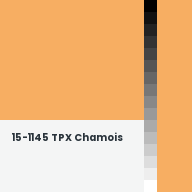 Color chip: 15-1145 TPX Chamois