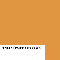 Color chip: 15-1147 TPX Butterscotch